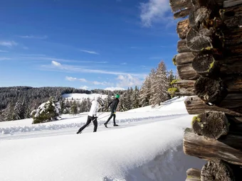 Two people cross-country skiing in snowy forest under clear sky