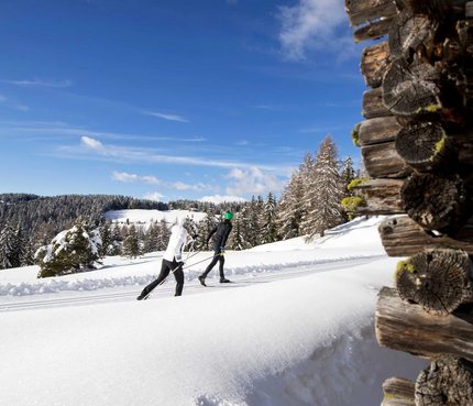 Zwei Menschen beim Langlaufski im verschneiten Wald bei klarem Himmel