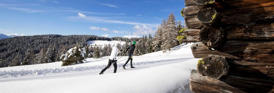 Zwei Menschen beim Langlaufski im verschneiten Wald bei klarem Himmel