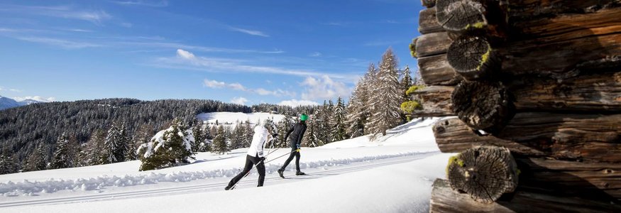 Zwei Menschen beim Langlaufski im verschneiten Wald bei klarem Himmel