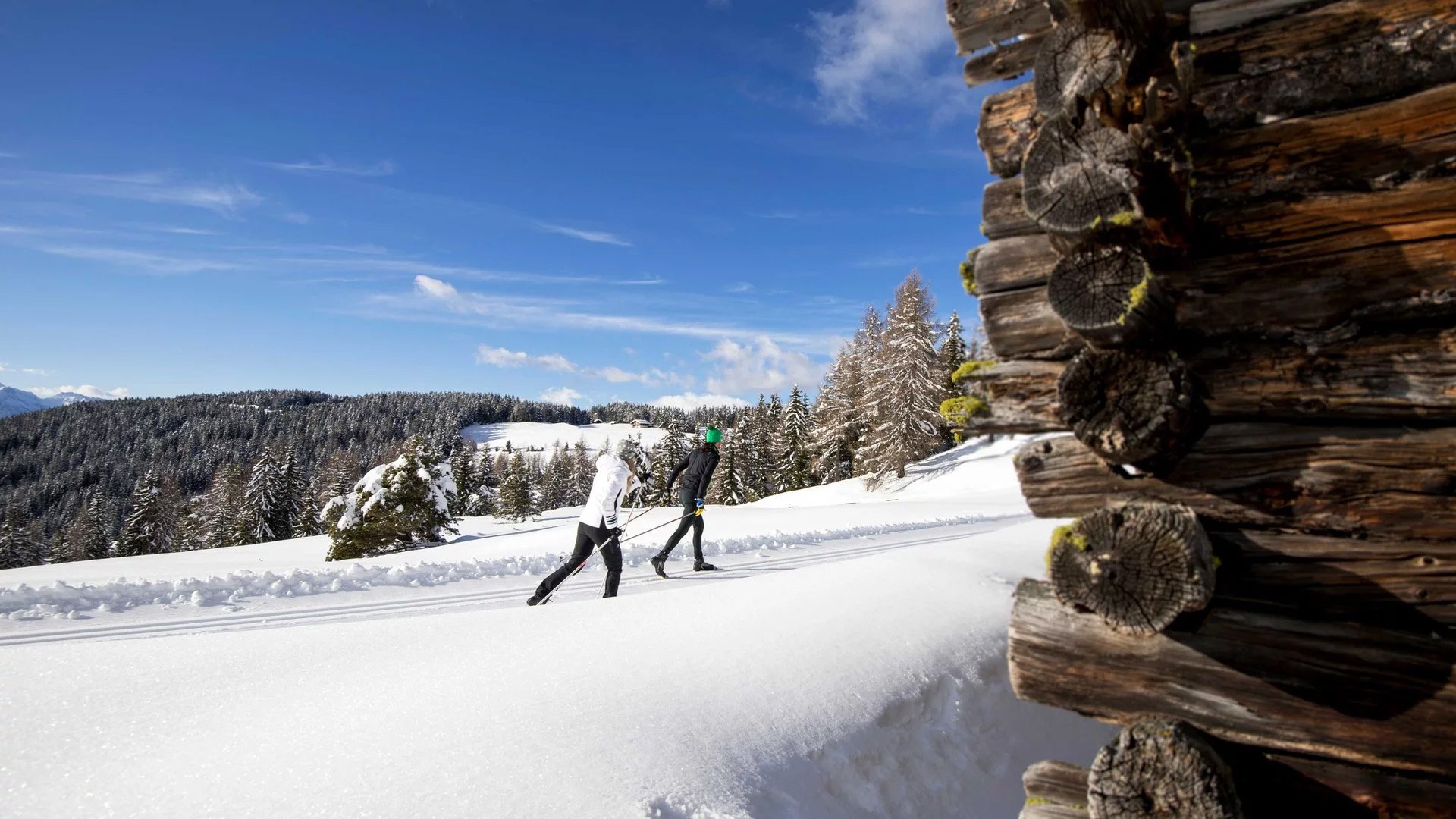Zwei Menschen beim Langlaufski im verschneiten Wald bei klarem Himmel