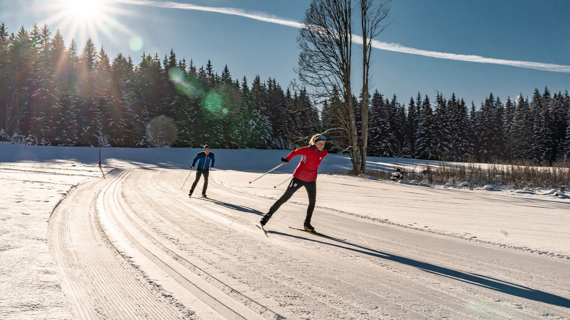 Zwei Personen beim Skilanglauf auf sonniger, verschneiter Strecke