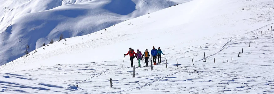 Fünf Skitourengeher wandern durch schneebedeckte Berge bei blauem Himmel