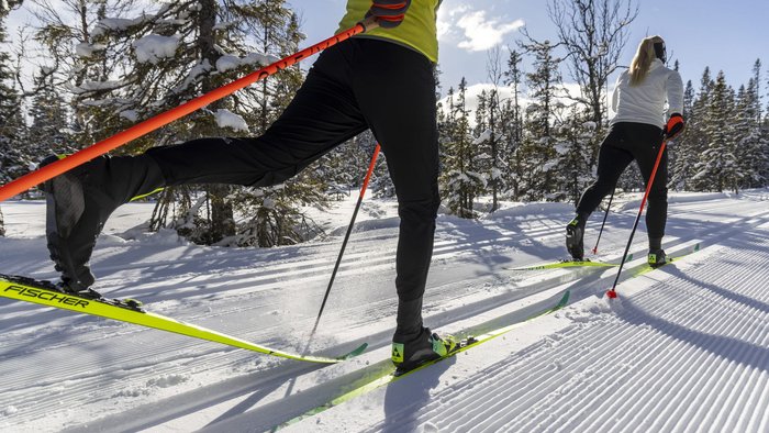 Zwei Personen beim Skilanglauf im verschneiten Wald