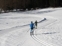 Zwei Langläufer auf verschneiter Loipe im Wald