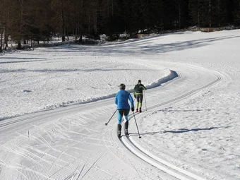 Two cross-country skiers on a snowy trail in the forest