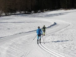 Zwei Langläufer auf verschneiter Loipe im Wald