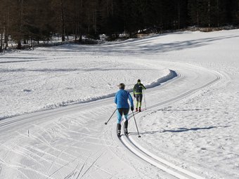 Sarntal © Judith Vasselai Zwei Langläufer auf verschneiter Loipe im Wald