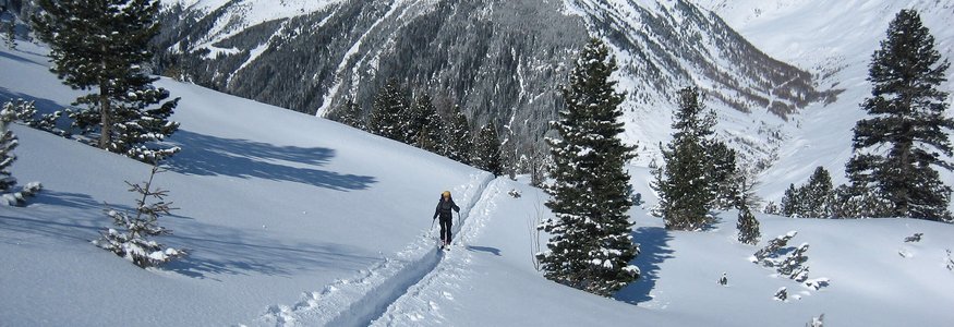 Person wandert durch verschneite Berge mit Tannenbäumen bei klarem Himmel