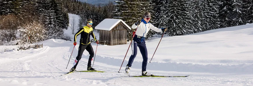 Two cross-country skiers in snowy landscape with trees and mountains