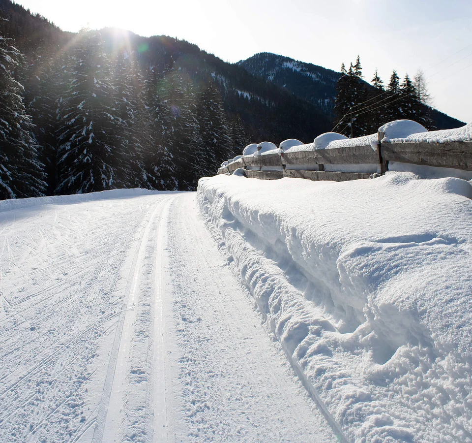 Schneebedeckter Weg mit Zaun und Tannen im Sonnenschein