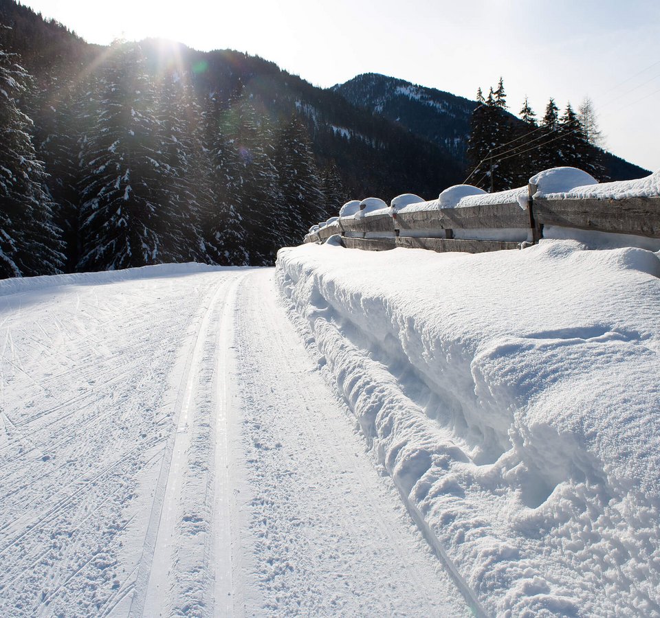Schneebedeckter Weg mit Zaun und Tannen im Sonnenschein