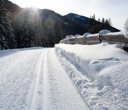 Schneebedeckter Weg mit Zaun und Tannen im Sonnenschein