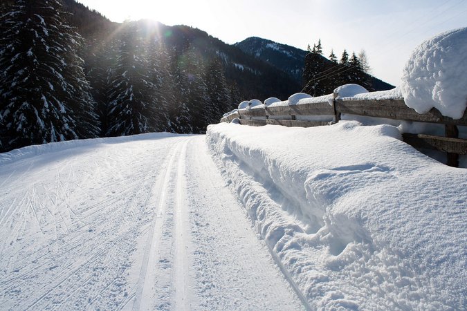 Schneebedeckter Weg mit Zaun und Tannen im Sonnenschein