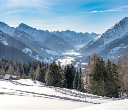 Verschneites Tal mit Tannen und Bergpanorama bei klarem Himmel