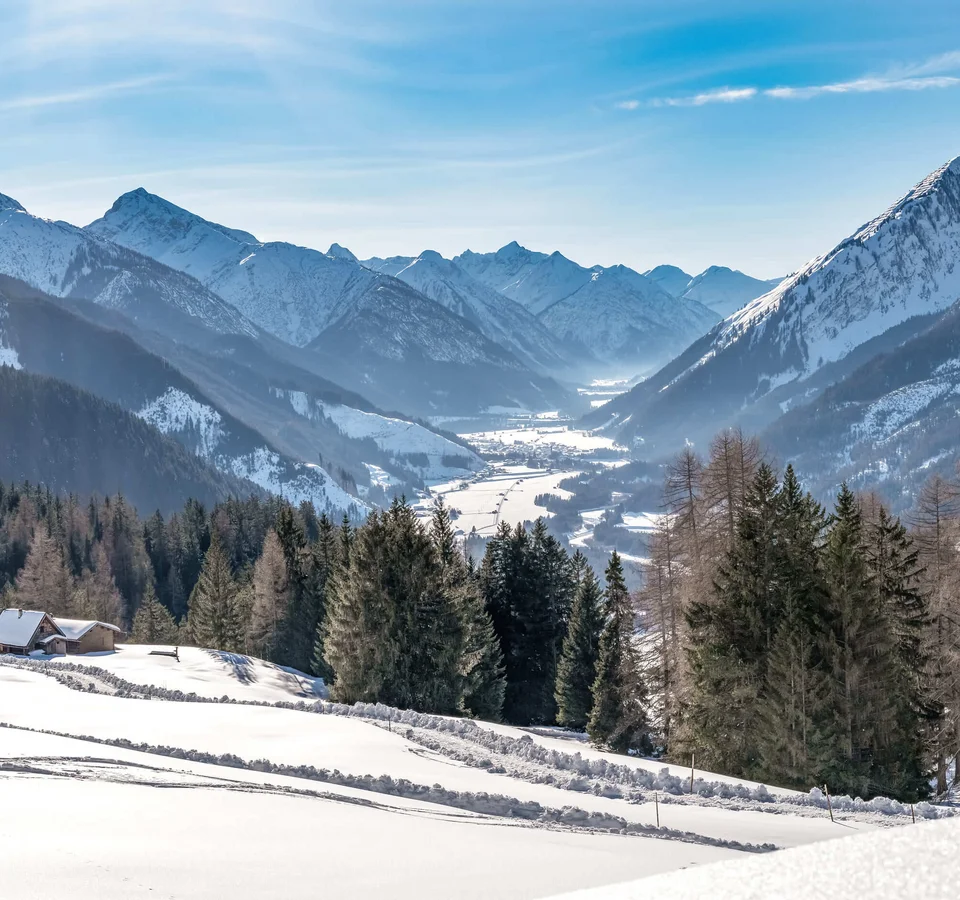 Verschneites Tal mit Tannen und Bergpanorama bei klarem Himmel