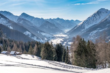 Verschneites Tal mit Tannen und Bergpanorama bei klarem Himmel
