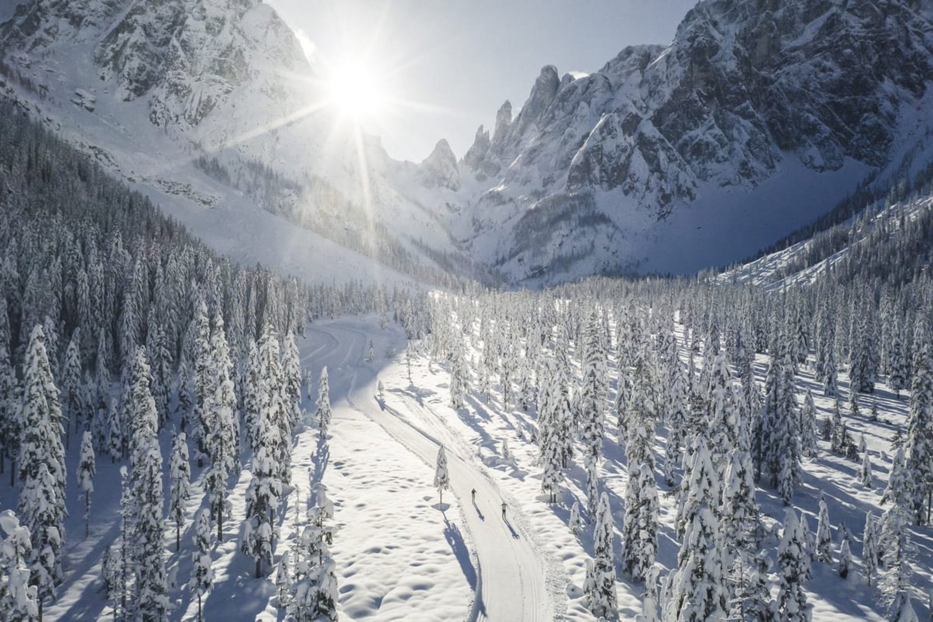 Sunny snowy forest trail with two cross-country skiers in winter