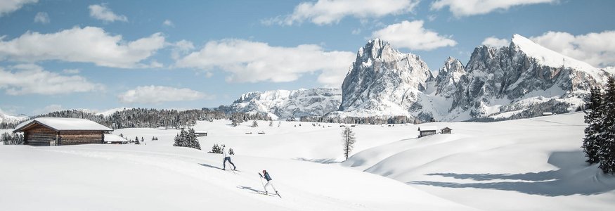 Zwei Skifahrer in verschneiter Berglandschaft mit Holzhütten und Gipfeln
