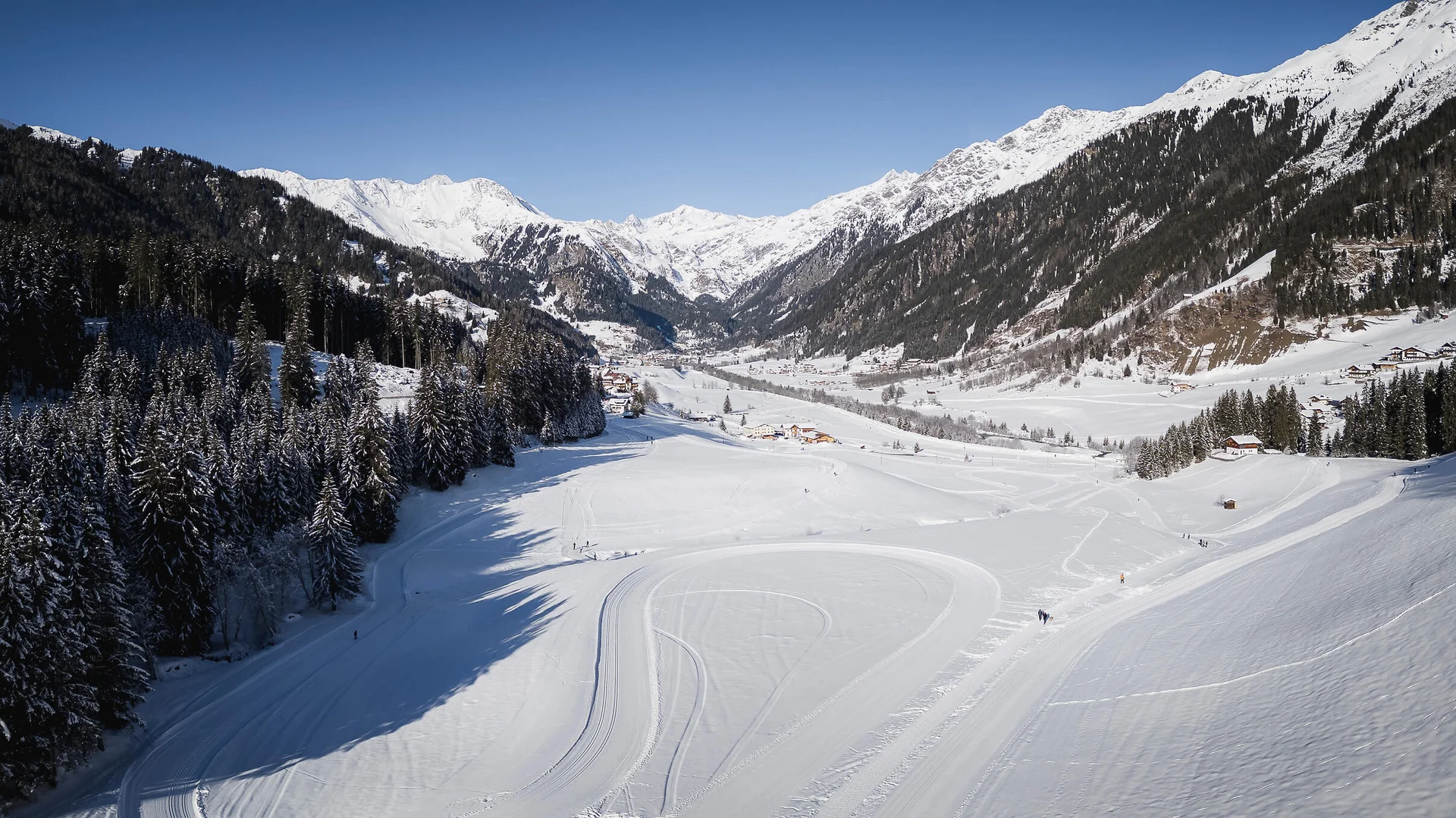 Schneebedeckte Alpen mit Tannenwald und klarem blauem Himmel