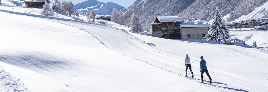 Two skiers on snowy mountain trail with cabins and snow-covered peaks