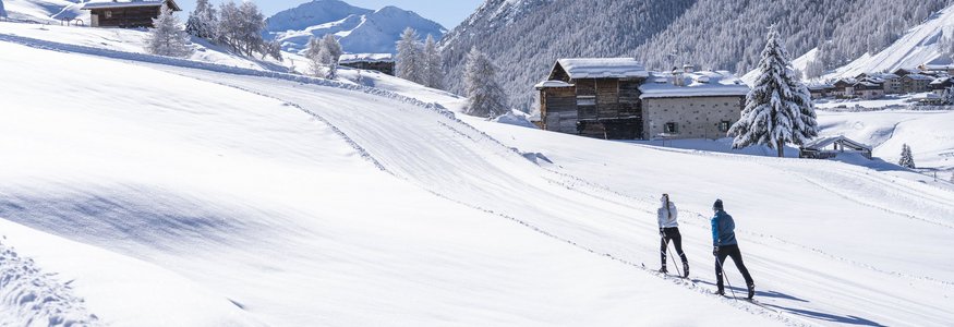 Zwei Skifahrer in verschneiter Berglandschaft mit Hütten und Bergen