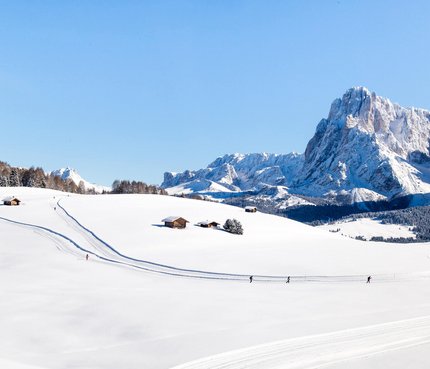 Schneebedeckte Landschaft mit Langläufern und Bergen im Hintergrund