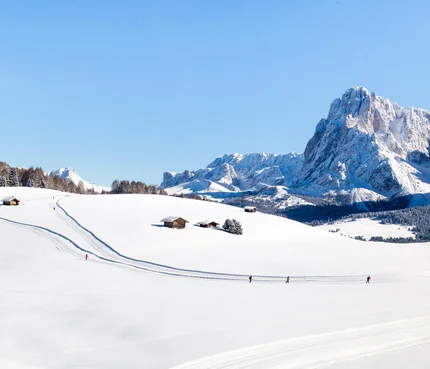 Schneebedeckte Landschaft mit Langläufern und Bergen im Hintergrund
