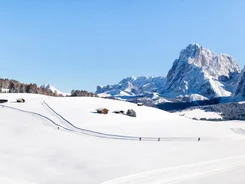 Schneebedeckte Landschaft mit Langläufern und Bergen im Hintergrund