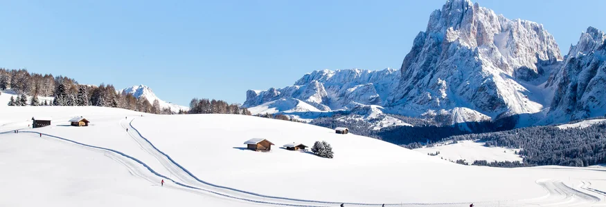 Schneebedeckte Landschaft mit Langläufern und Bergen im Hintergrund