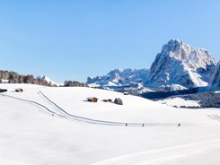 Schneebedeckte Landschaft mit Langläufern und Bergen im Hintergrund