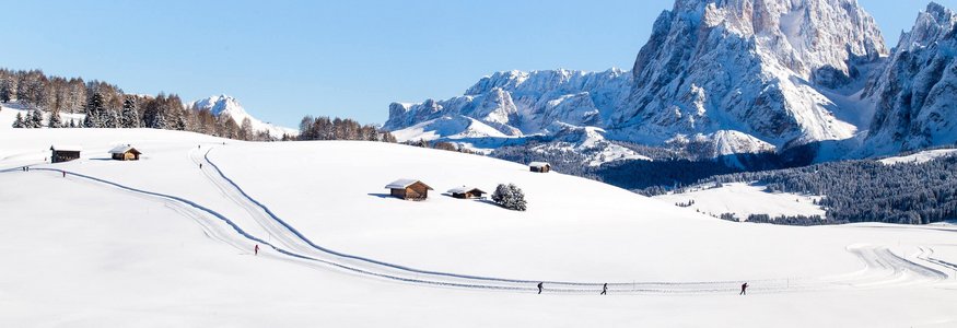 Schneebedeckte Landschaft mit Langläufern und Bergen im Hintergrund