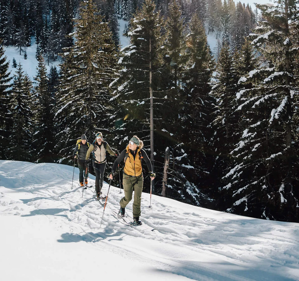 Drei Personen wandern mit Schneeschuhen auf verschneitem Bergpfad im Wald