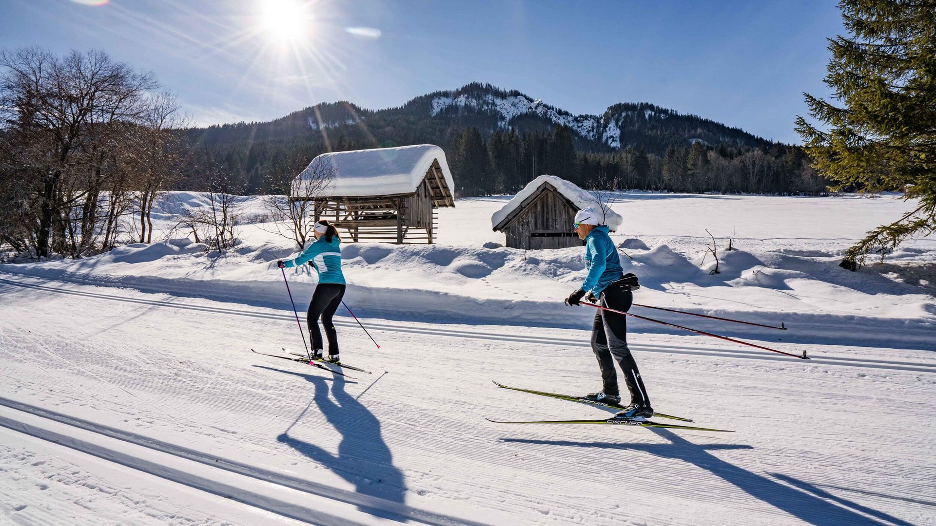 Two cross-country skiers on snowy trail in sunny winter landscape