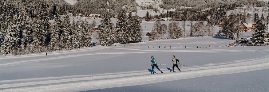 Skifahrer auf verschneiter Loipe vor Bergkulisse und Wald