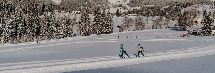Skifahrer auf verschneiter Loipe vor Bergkulisse und Wald