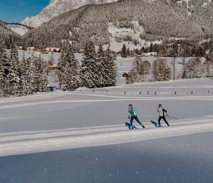 Skifahrer auf verschneiter Loipe vor Bergkulisse und Wald