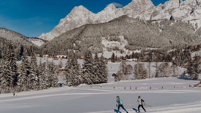 Skifahrer auf verschneiter Loipe vor Bergkulisse und Wald