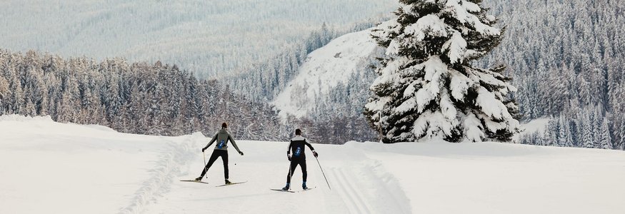 Zwei Skifahrer fahren durch verschneite Landschaft mit Bergen und Bäumen
