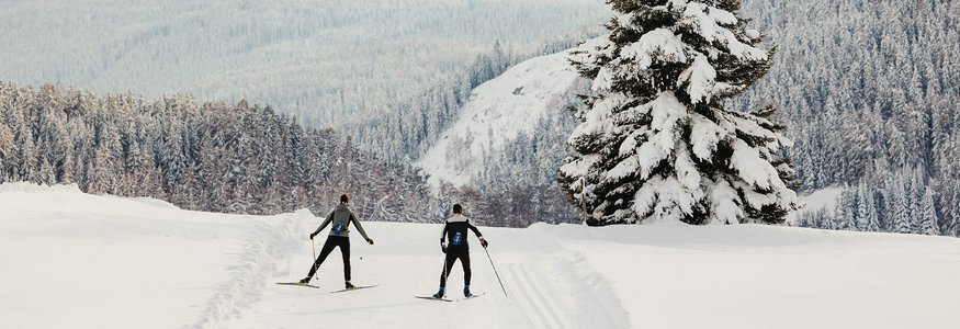 Zwei Skifahrer fahren durch verschneite Landschaft mit Bergen und Bäumen