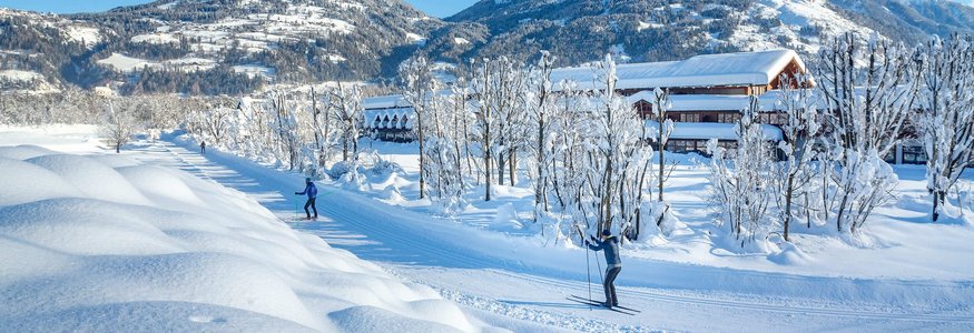 People cross-country skiing on snowy trail with mountains in background