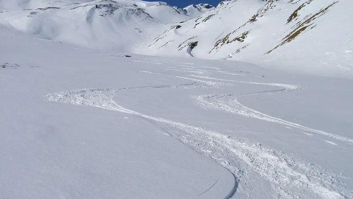 Spuren von Skifahrern im unberührten Schnee an einem sonnigen Berghang