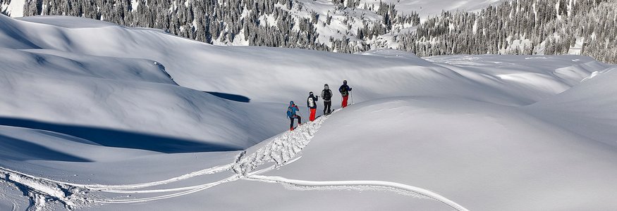 Four skiers trekking across snowy mountain landscape