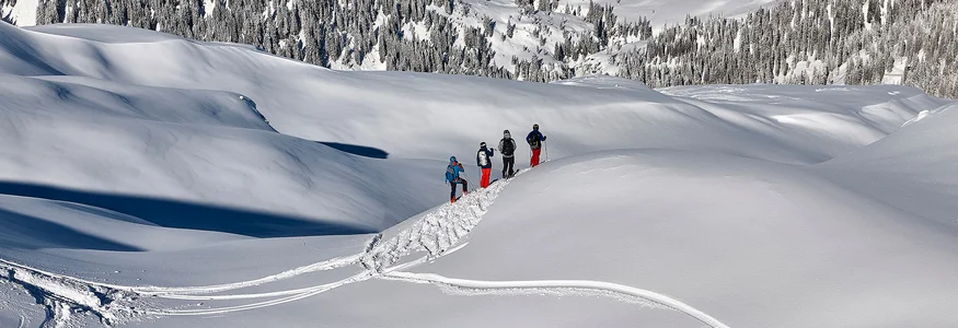 Vier Skifahrer wandern durch verschneite Berglandschaft