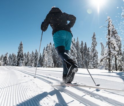 Best of Kranjska Gora © Daniel Hug Person beim Langlaufen auf sonniger, verschneiter Strecke mit blauen Himmel