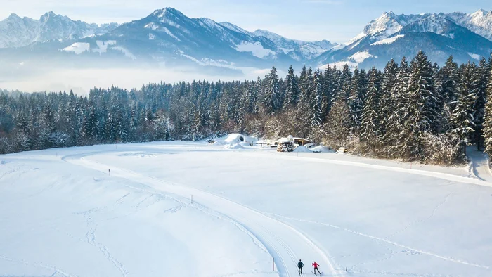 Zwei Skifahrer auf verschneiter Loipe vor verschneiten Bergen und Wald