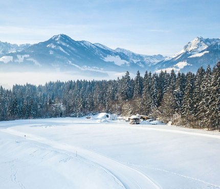 Zwei Skifahrer auf verschneiter Loipe vor verschneiten Bergen und Wald