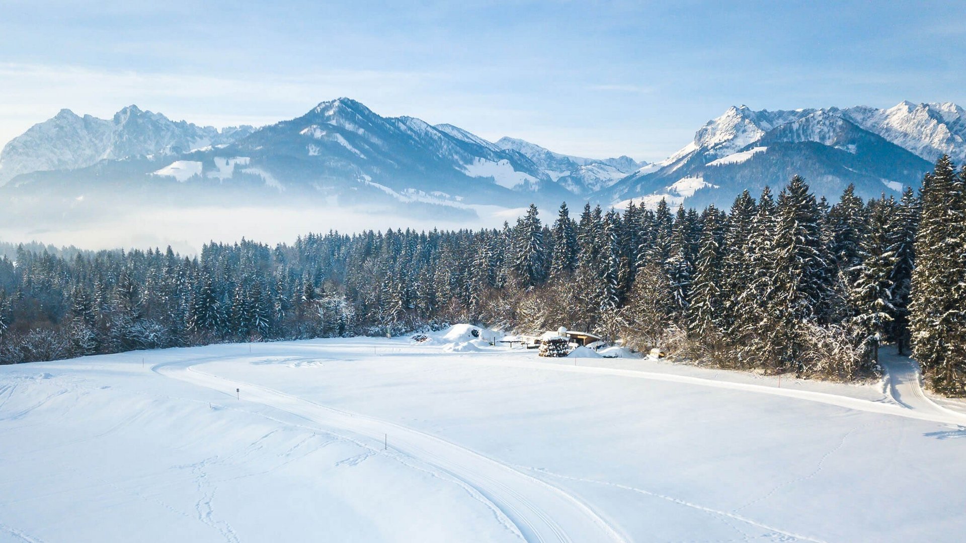 Zwei Skifahrer auf verschneiter Loipe vor verschneiten Bergen und Wald