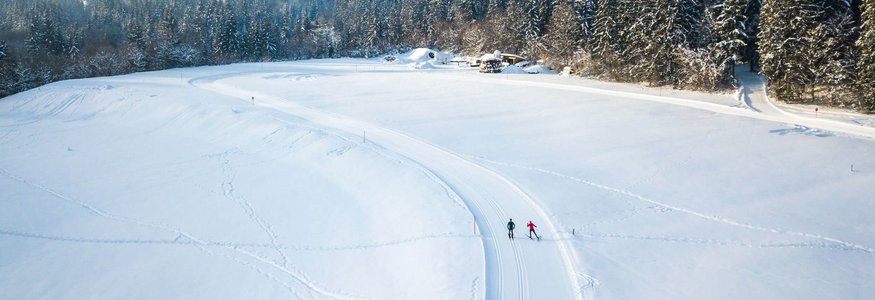 Zwei Skifahrer auf verschneiter Loipe vor verschneiten Bergen und Wald