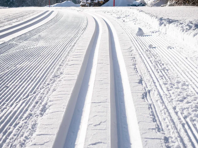 Schneesicher langlaufen: Wo Snowfarming in Österreich frühen Saisonstart möglich macht
© Tourismusverband Kaiserwinkl Gespurte Langlaufloipe im verschneiten Wald unter klarem Himmel